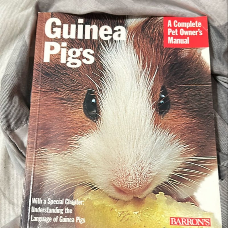 Guinea Pigs