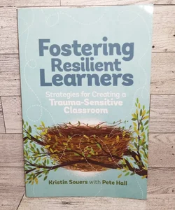 Fostering Resilient Learners