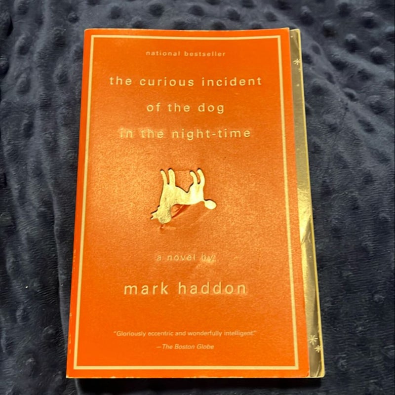 The Curious Incident of the Dog in the Night-Time