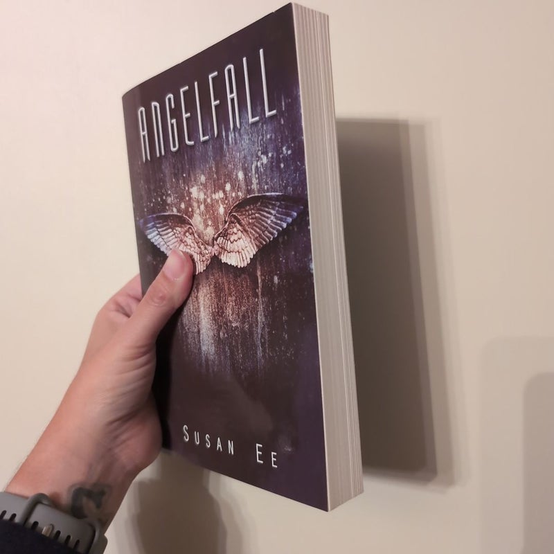 Angelfall