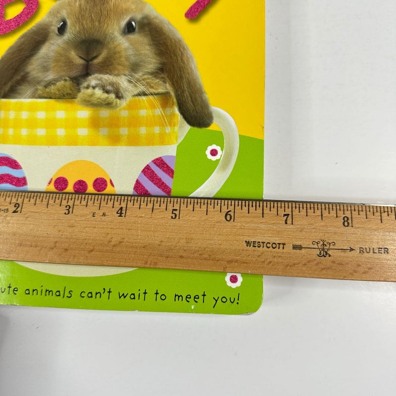 Easter Bunny Baby Touch and Feel