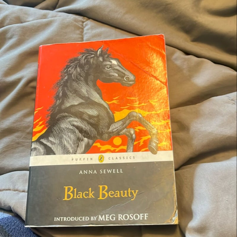 Black Beauty