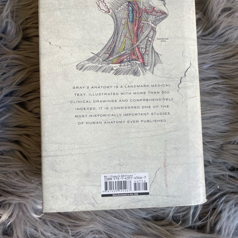 Gray's Anatomy
