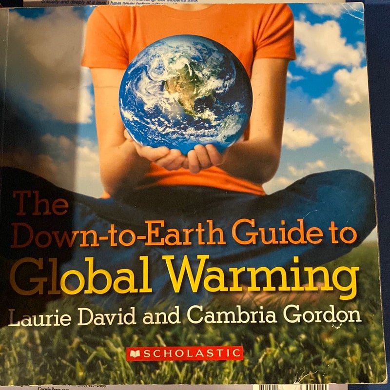 The Down-to-Earth Guide to Global Warming