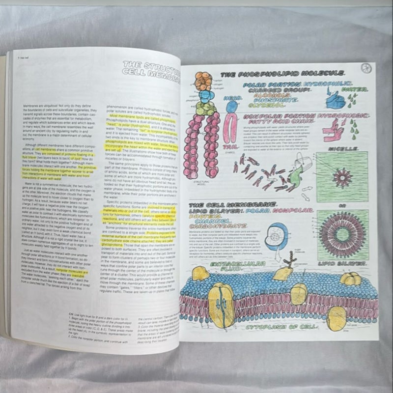 The Physiology Coloring Book