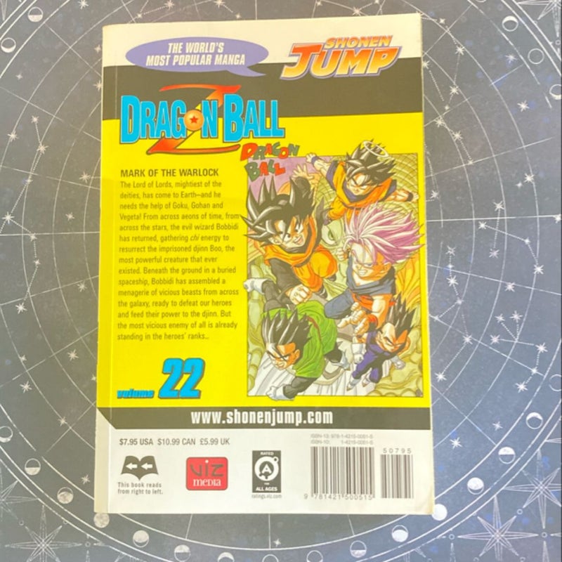 Dragon Ball Z, Vol. 22