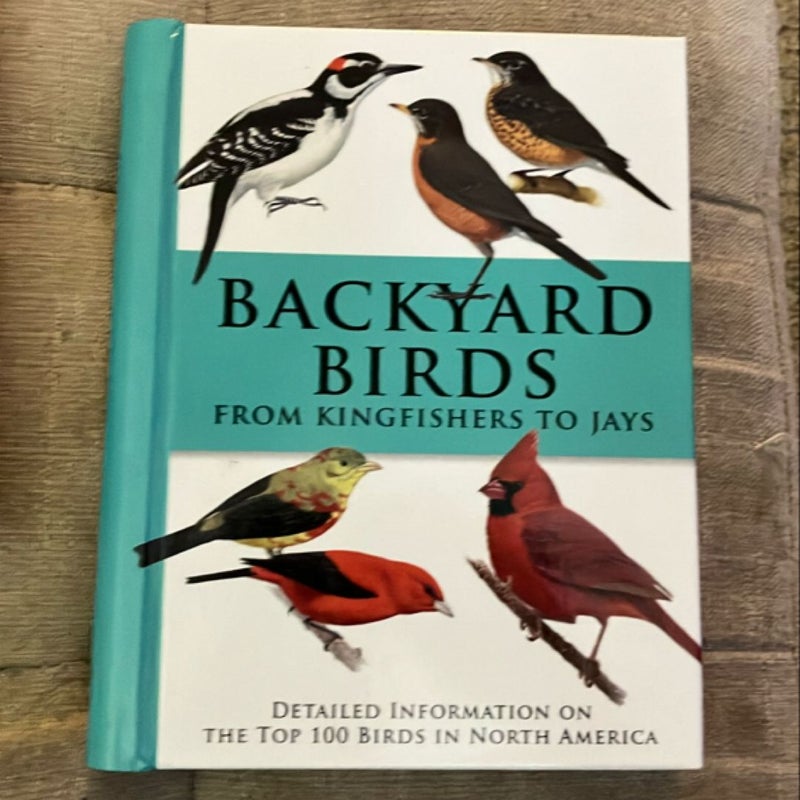 Backyard Birds from Kingfishers to Jays