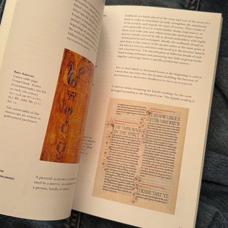 Understanding Illuminated Manuscripts