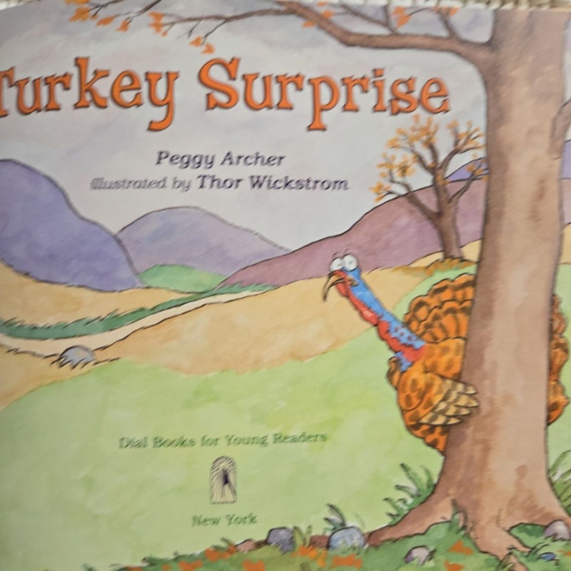 Turkey Surprise 