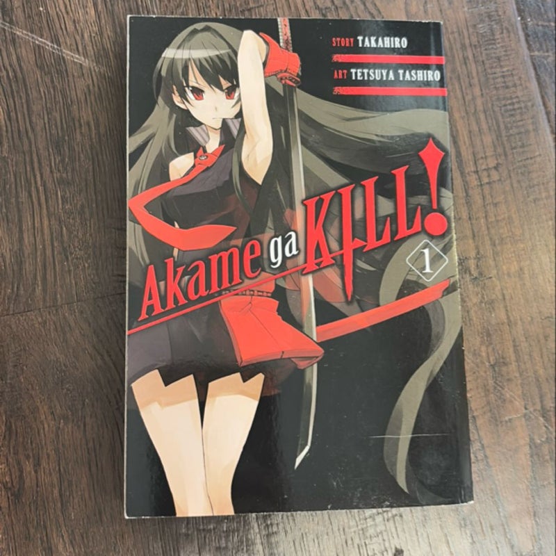 Akame Ga KILL!, Vol. 1