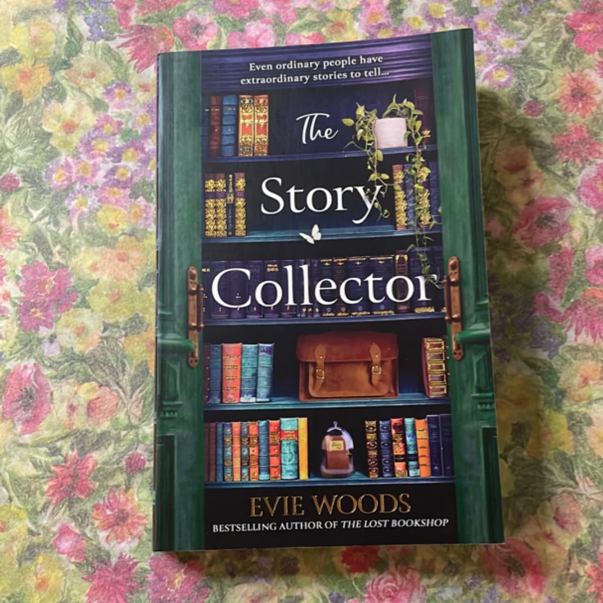 The Story Collector by Evie Woods