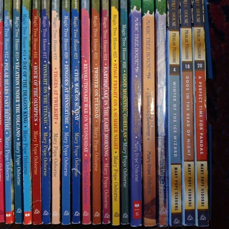 Magic Tree House Lot