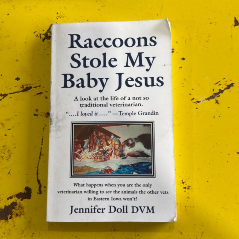 Raccoons Stole My Baby Jesus