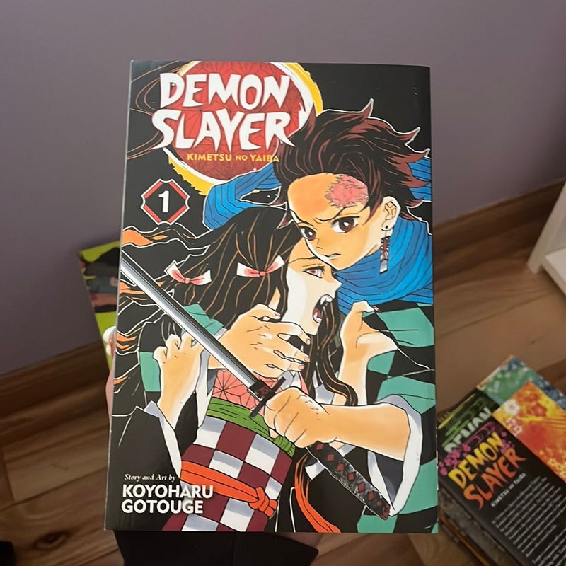 Demon Slayer: Kimetsu No Yaiba, Vol. 1