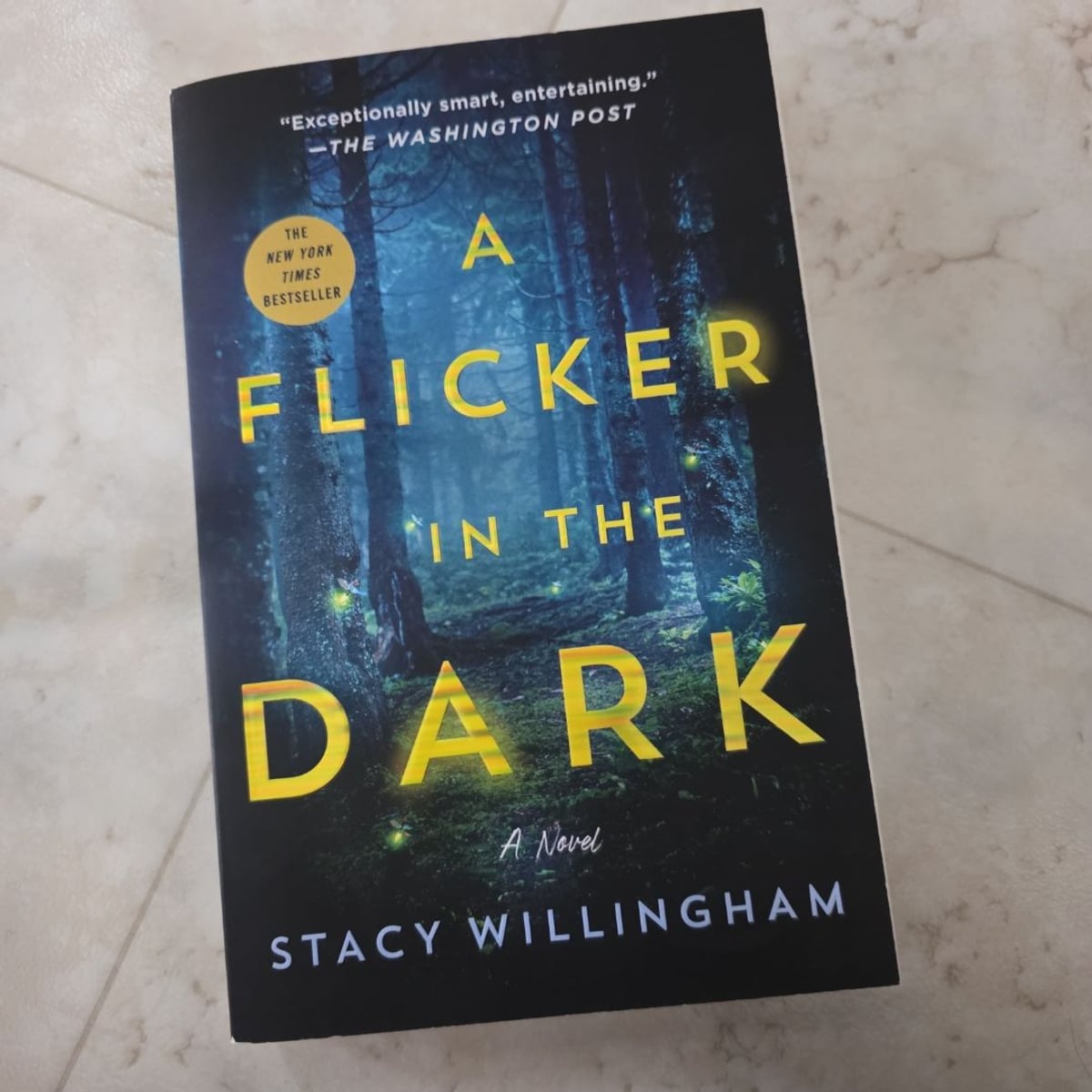 A Flicker in the Dark by stacy Willingham, Paperback | Pangobooks
