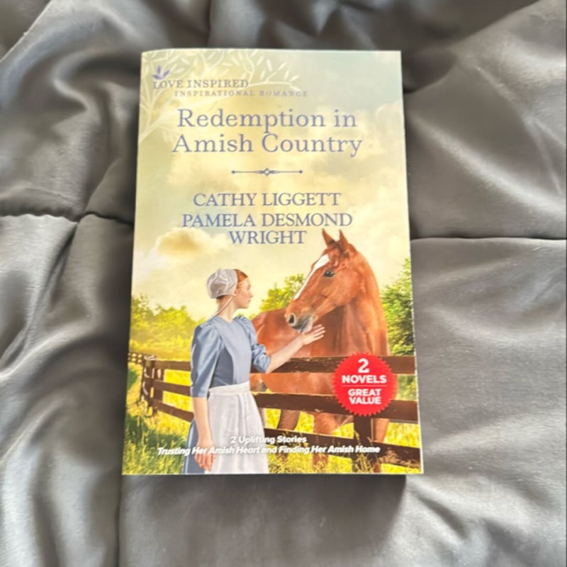 Redemption in Amish Country