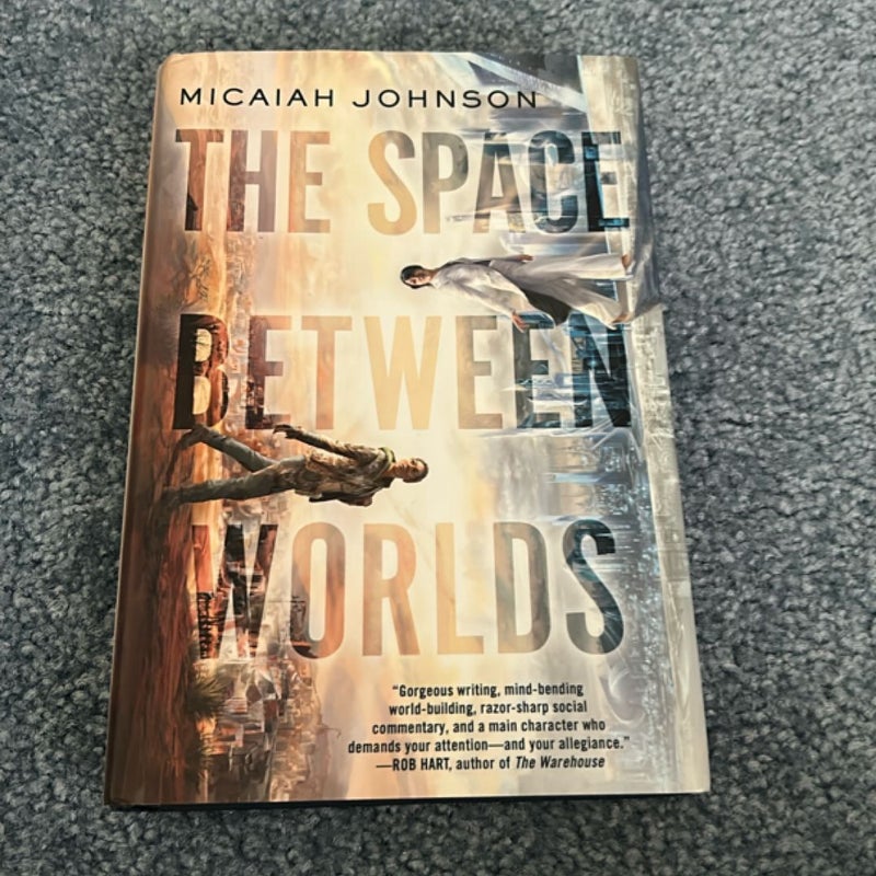 The Space Between Worlds