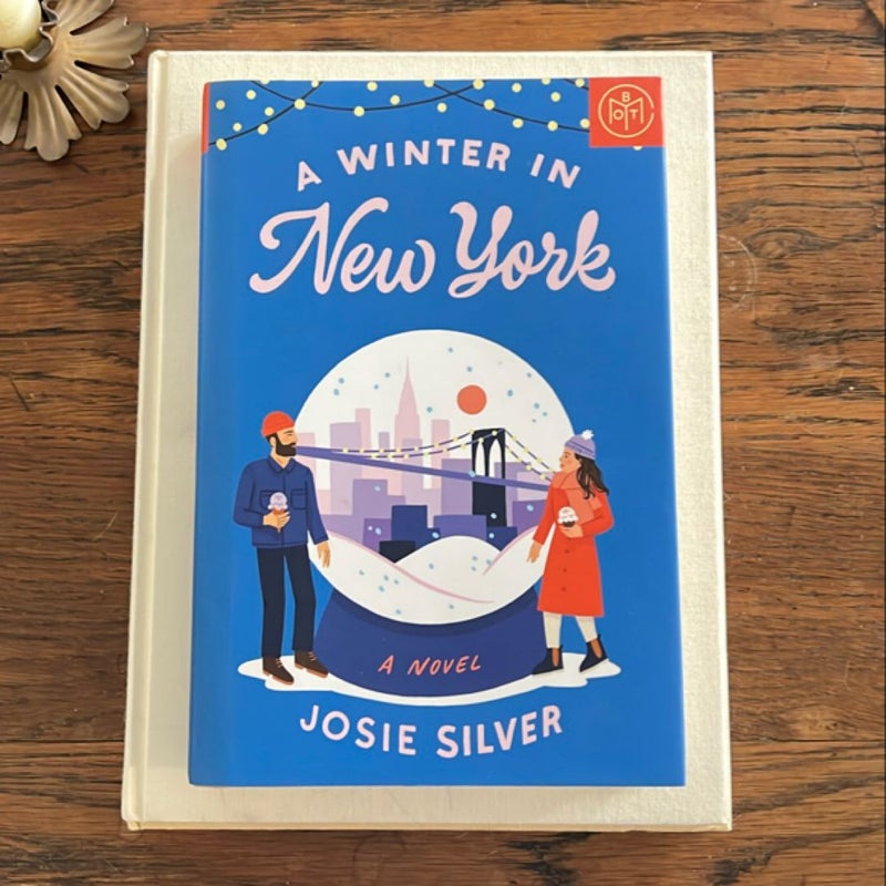 A Winter in New York