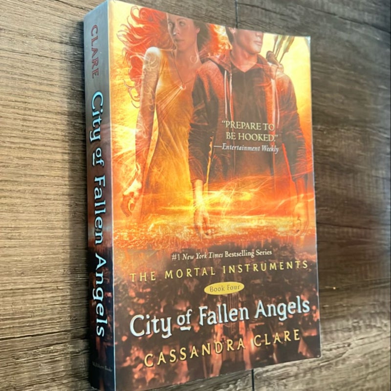 City of Fallen Angels