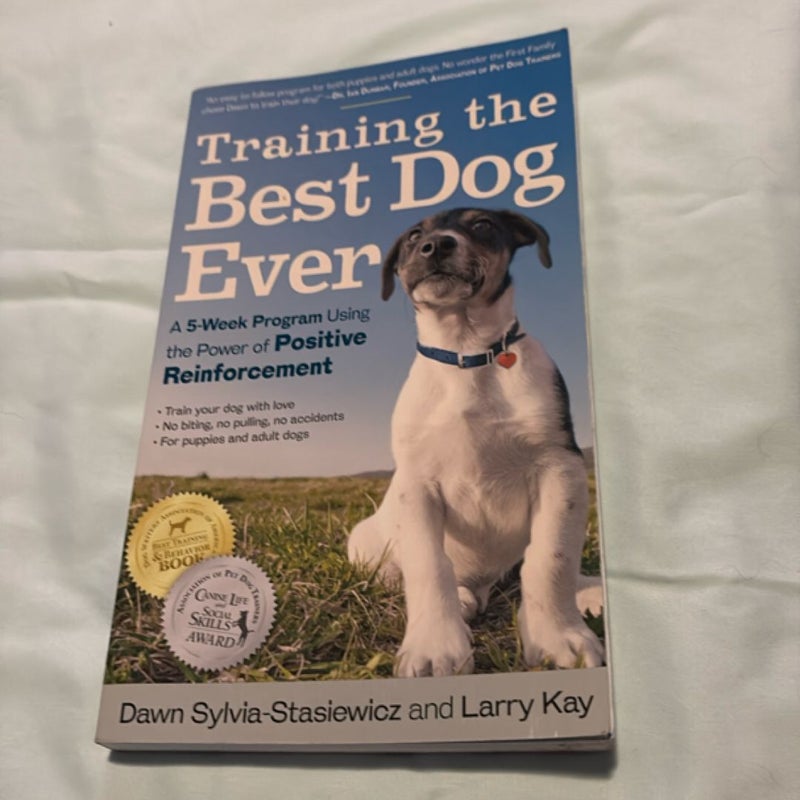 Training the Best Dog Ever
