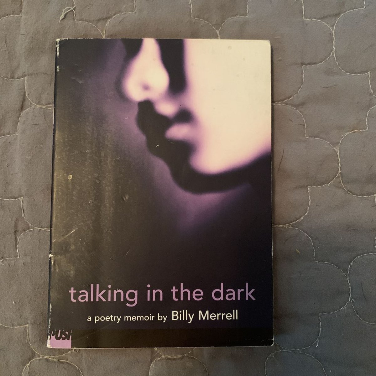 Talking in the Dark by Billy Merrell
