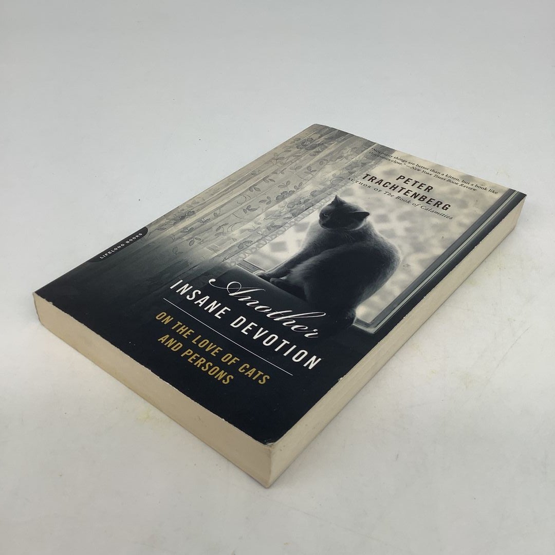 Another Insane Devotion