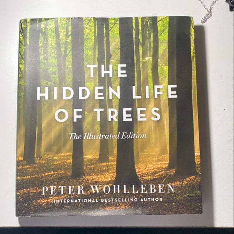 The Hidden Life of Trees