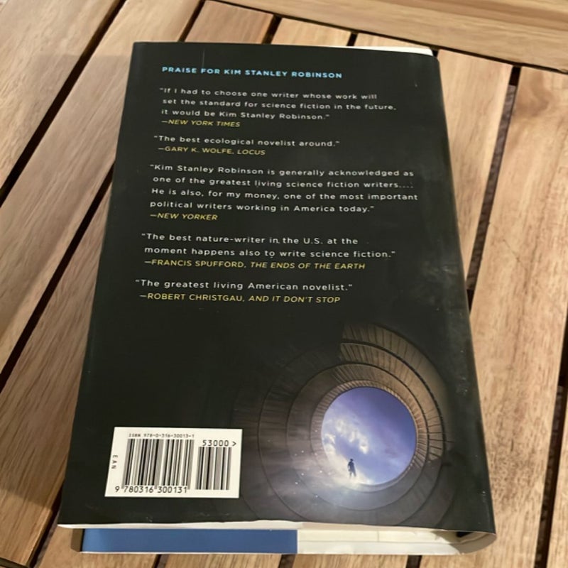 The Ministry for the Future