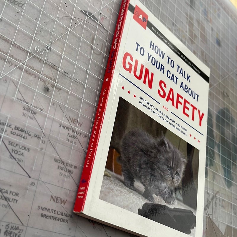 How to Talk to Your Cat About Gun Safety by Zachary Auburn – KimMiE Book  Review – Cannonball Read 16