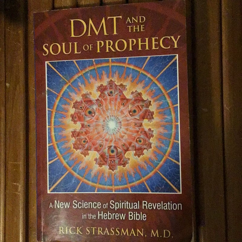 DMT and the Soul of Prophecy