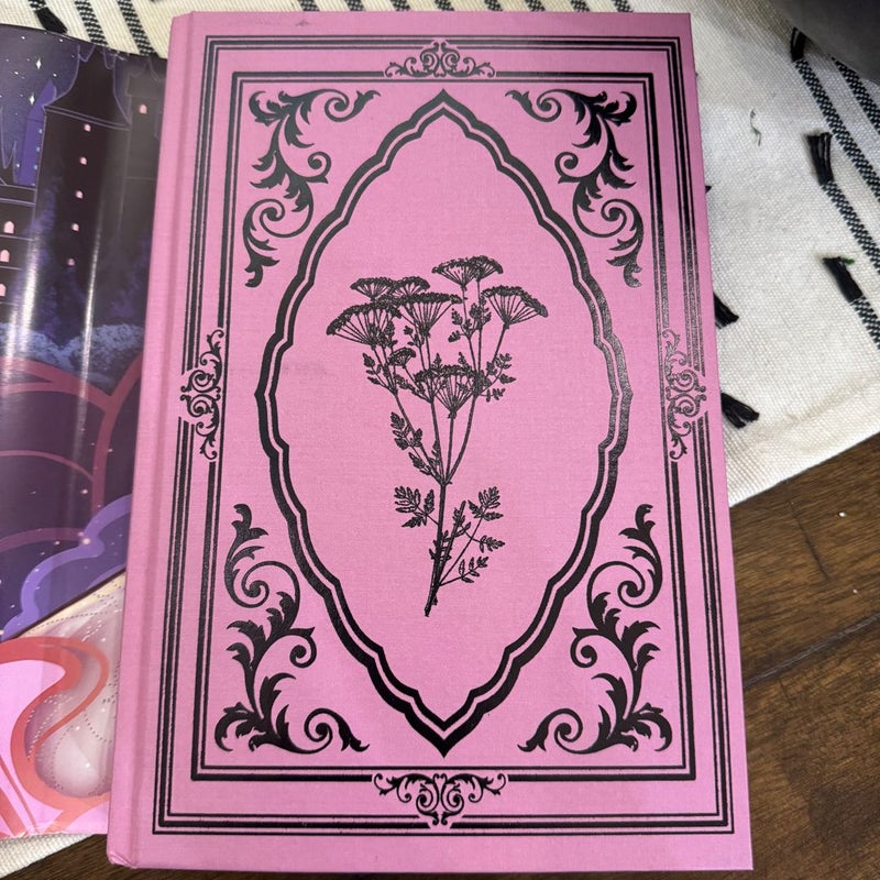 Fairyloot June 2024 YA Box