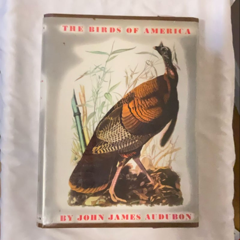 The birds of America The birds of America