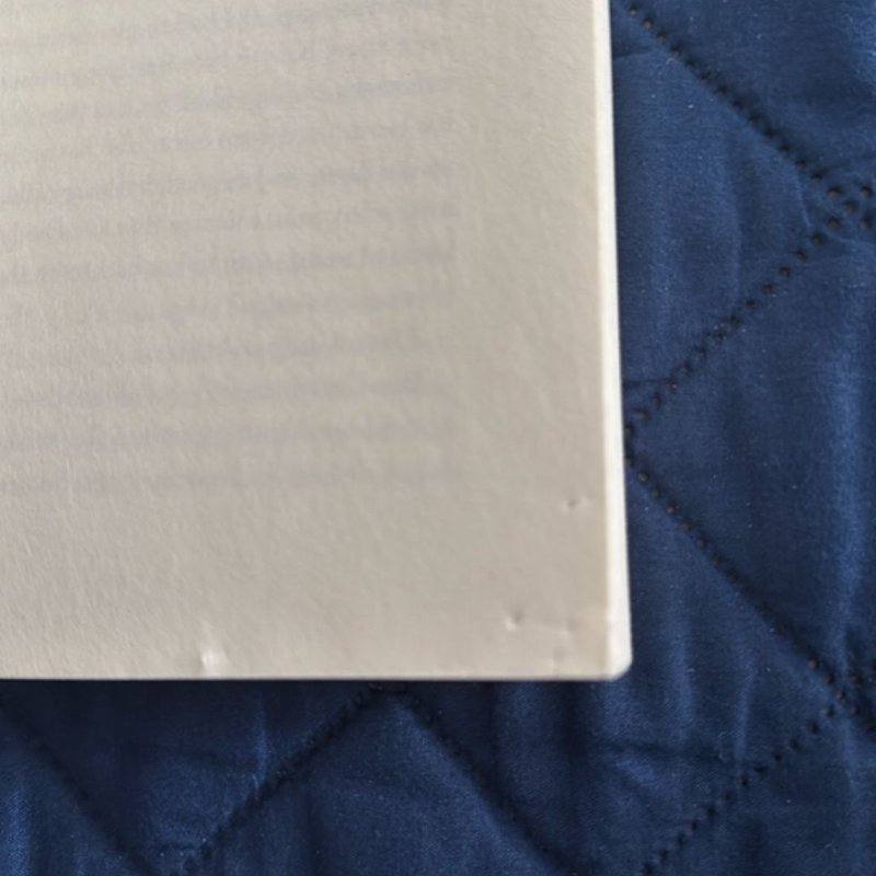 The Housemaid's Secret