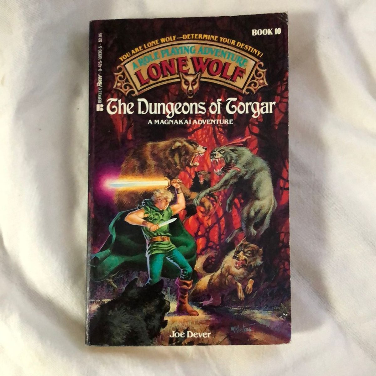 The Dungeons of Torgar by Joe Dever, Gary Chalk