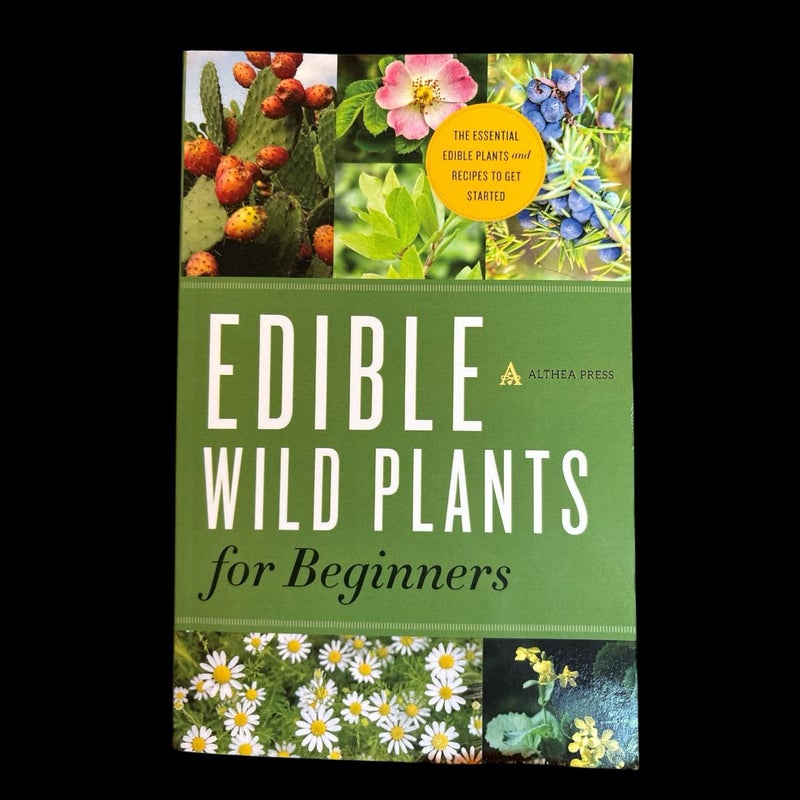 Edible Wild Plants for Beginners