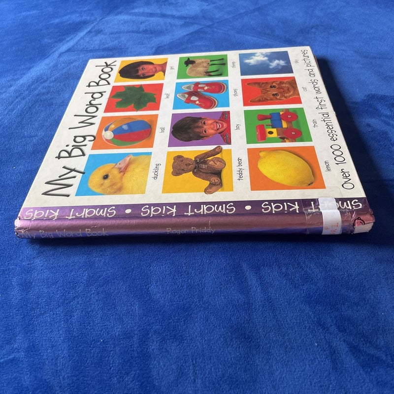My Big Word Book by Roger Priddy, Hardcover | Pangobooks