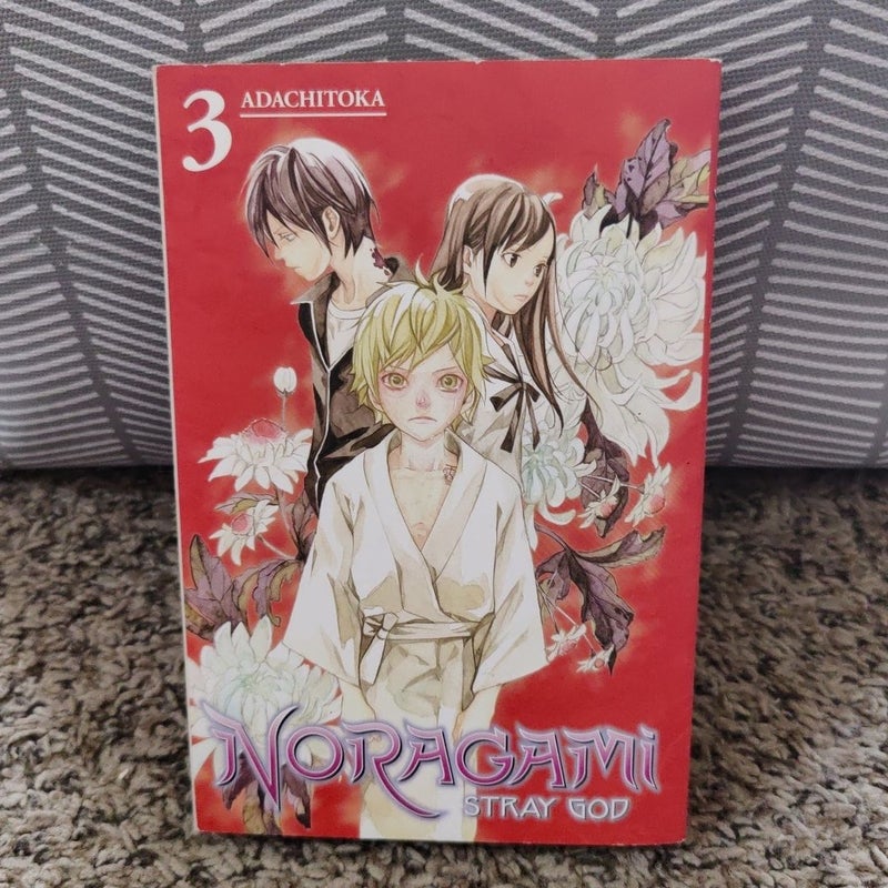 Noragami: Stray God, Vol. 3