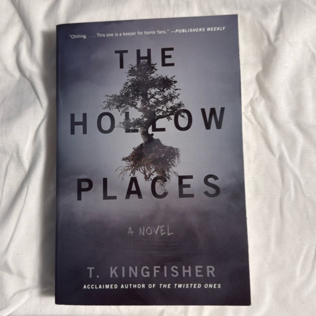 The Hollow Places
