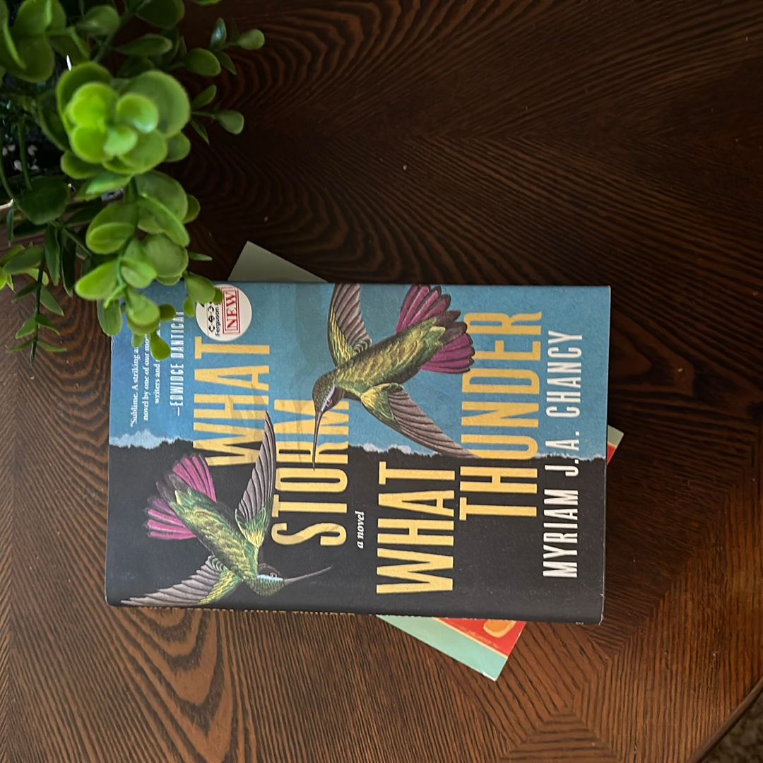 What Storm, What Thunder