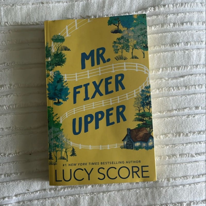 Mr. Fixer Upper