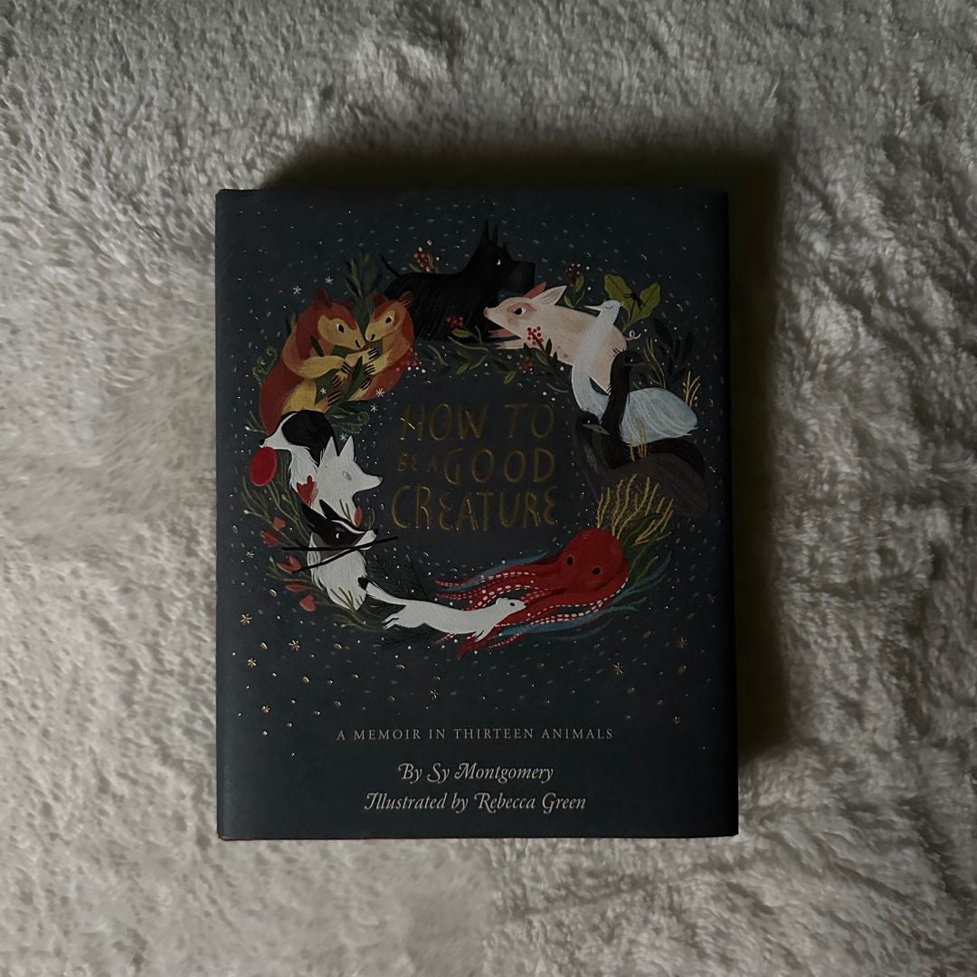 Sale image for 0147a32f-31cf-4784-9faa-24dae26c887b-fwhwqtxzh2e3FxM2ahmNSd8xfkE2