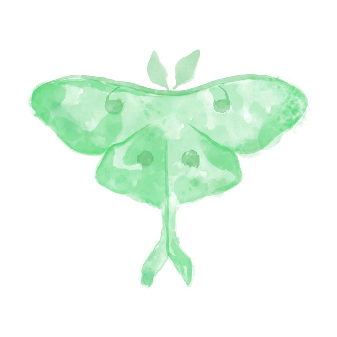 Luna Moth Cottage
