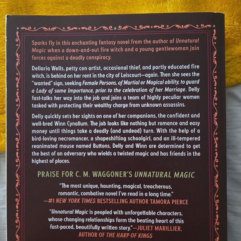The Ruthless Lady's Guide to Wizardry