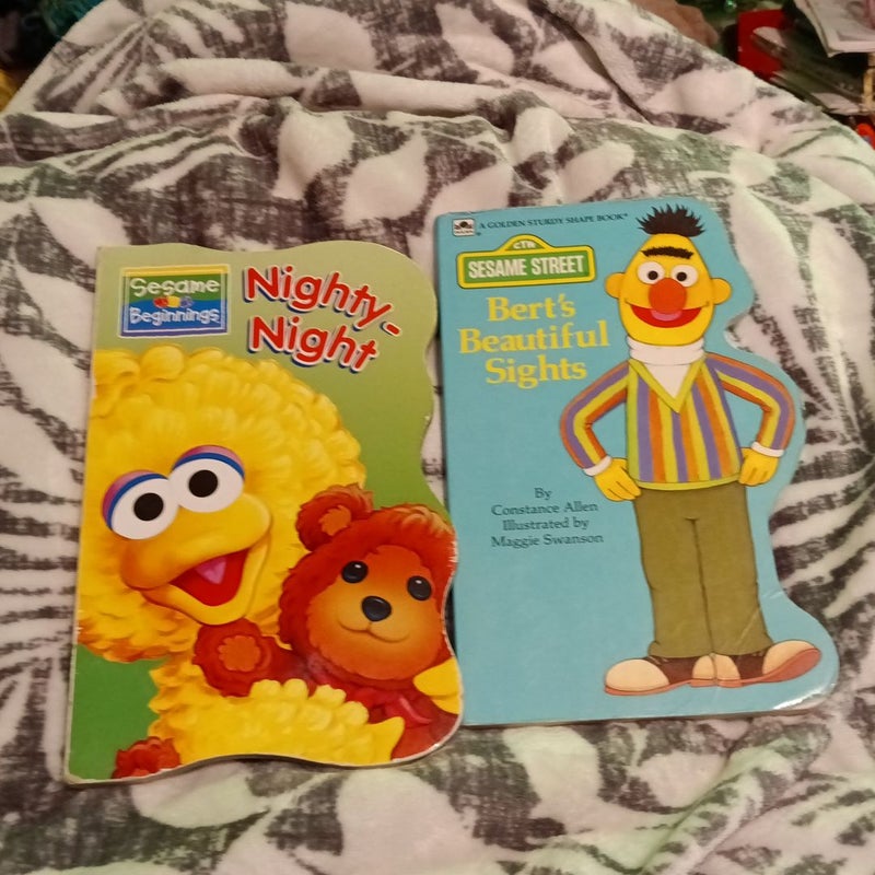 Sesame street/Berts Beautiful Sights