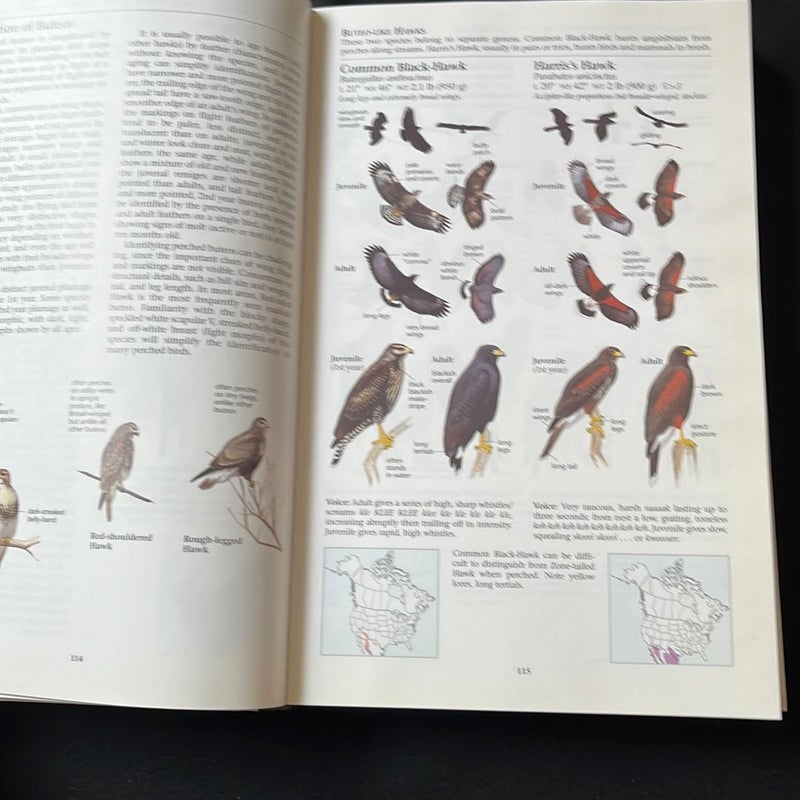 The Sibley Guide to Birds