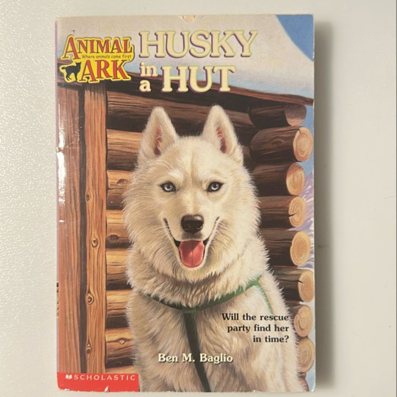 Husky in a hut 