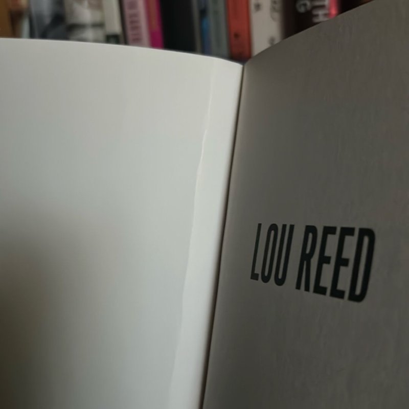 Lou Reed: the Last Interview by Lou Reed