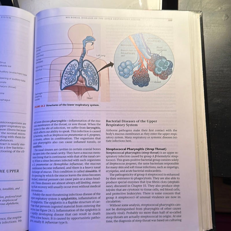 Microbiology