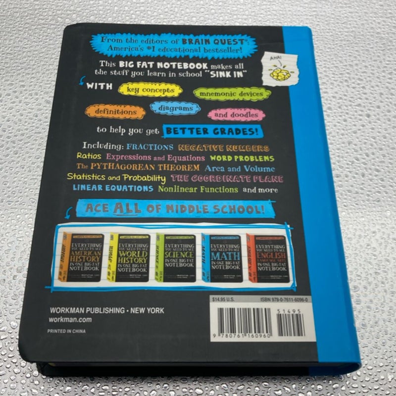 Everything You Need to Ace Math in One Big Fat Notebook