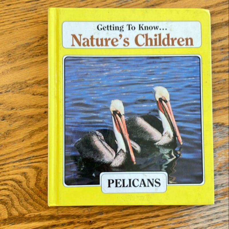 Getting to know natures children pelicans and snakes 